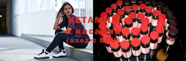 индика Алзамай