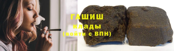 индика Алзамай
