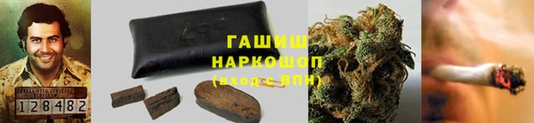 молекула духа Новозыбков