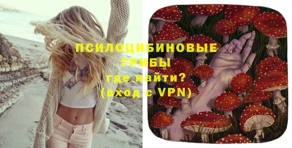 индика Алзамай