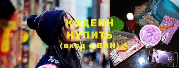 молекула духа Новозыбков