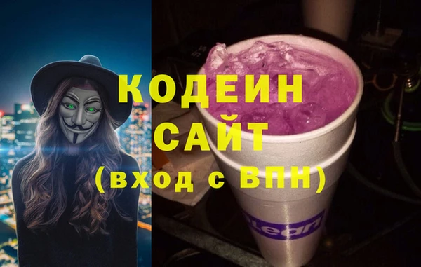 индика Алзамай