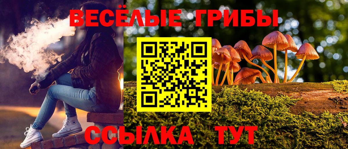 Галлюциногенные грибы Psilocybe  наркошоп  Вход с VPN  Нефтекамск  Галлюциногенные грибы MAGIC MUSHROOMS 