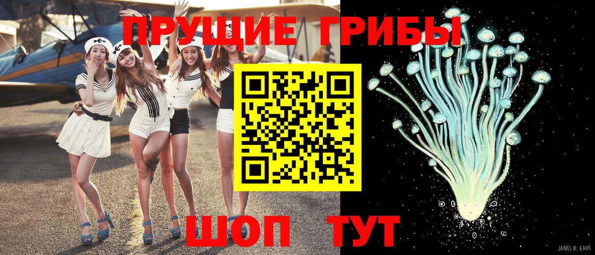 Галлюциногенные грибы Psilocybine cubensis Нефтекамск